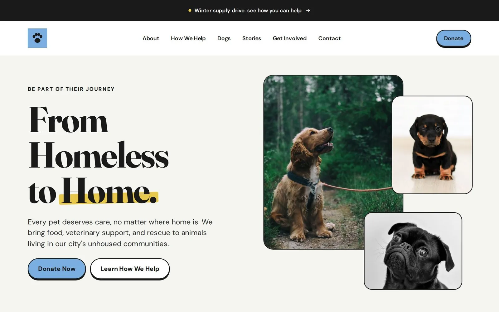 Outreach website homepage: From Homeless to Home, with donate buttons and dog photos